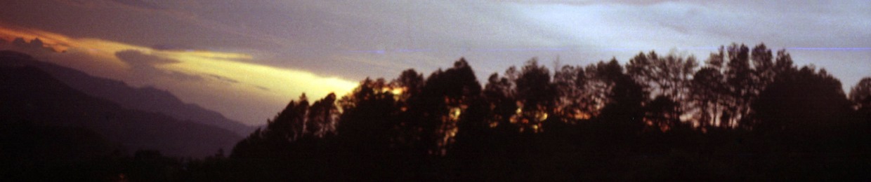 Erick Jimenez Quesada