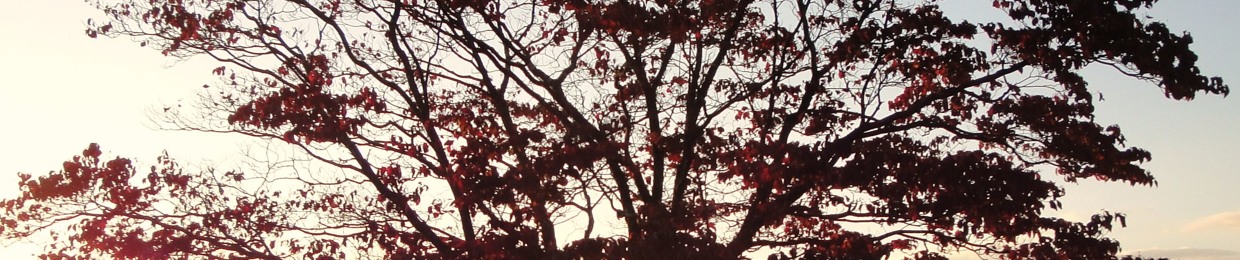 treesforme21