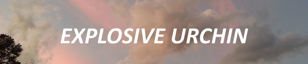 Explosive Urchin
