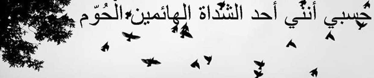 Mohamed Aboda