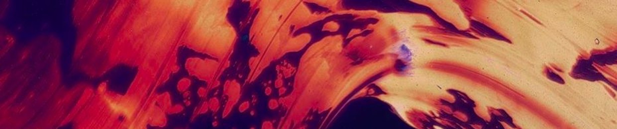 バーゲンで 全通 たくさんの枝 - clinicamarciahelenacosta.com