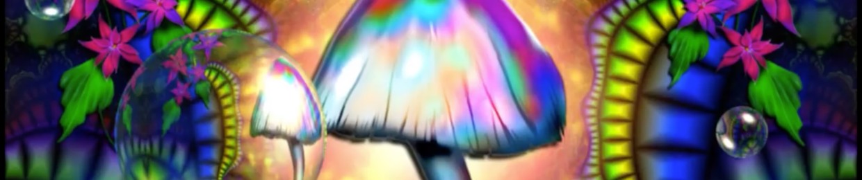 Orgi_Max