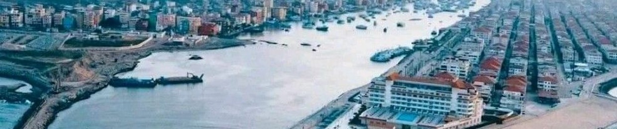 الفيشاوي