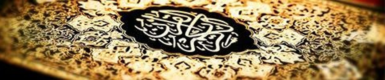 عمرو صديق