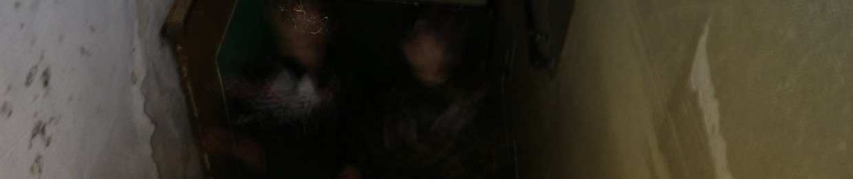 琲旡