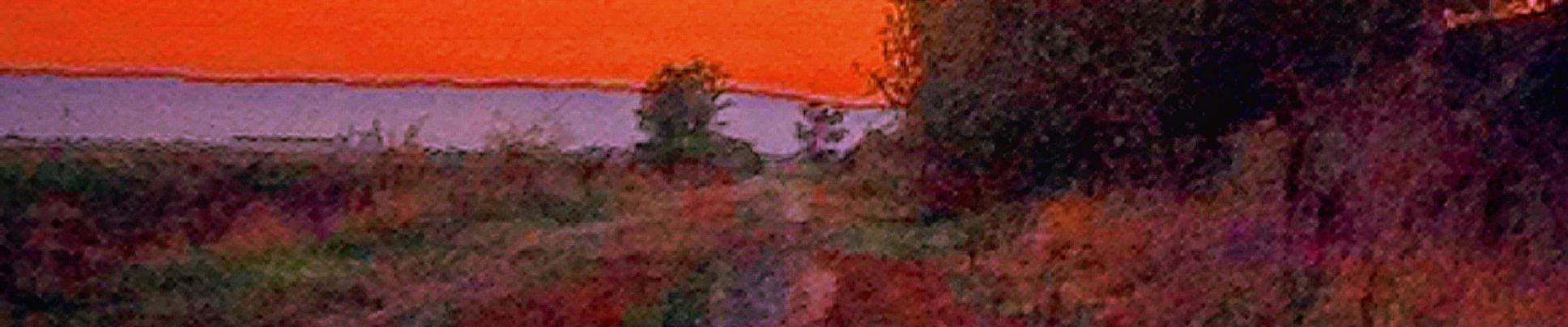 SoundCloud banner for @indicted
