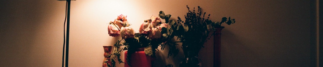 twitches / s. bright / clearwater swimmers