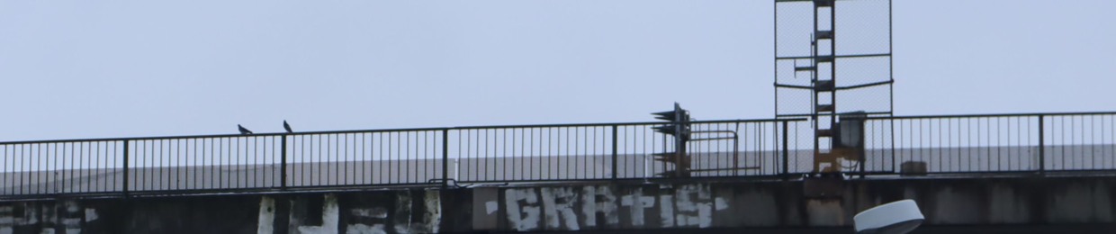 cyberflâneuse