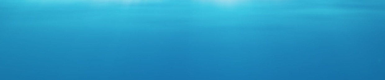 Lonely Orca