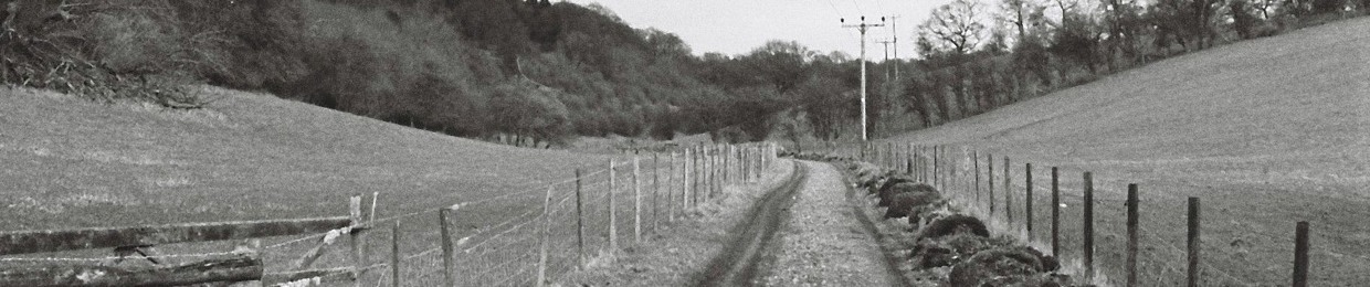 Alex Whitaker