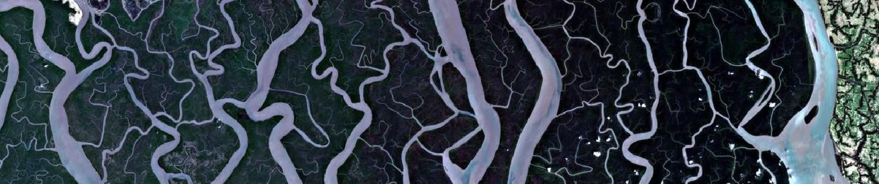 Tetrapode