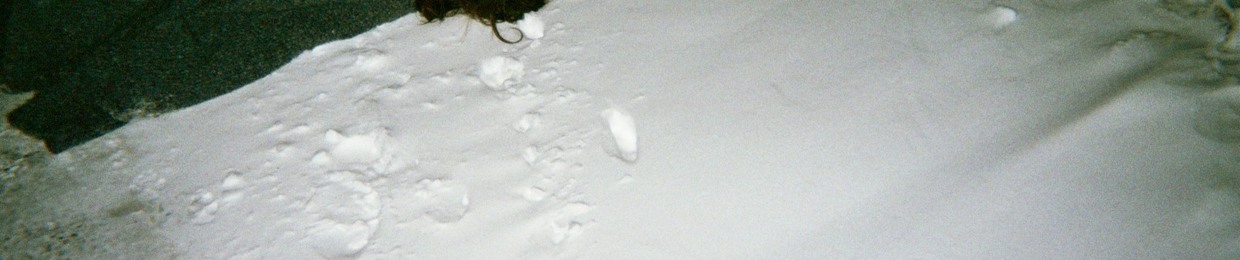 ALYESKA