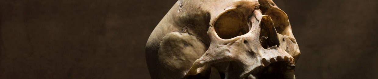 THE HEAD