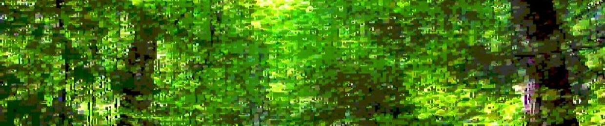 BasedRob