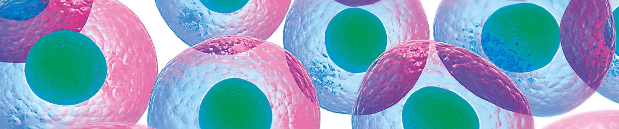 Taylor & Francis Group