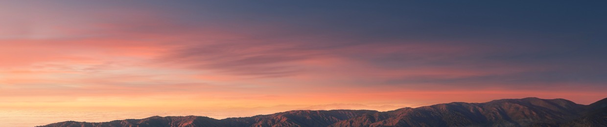 Alexander Designerio