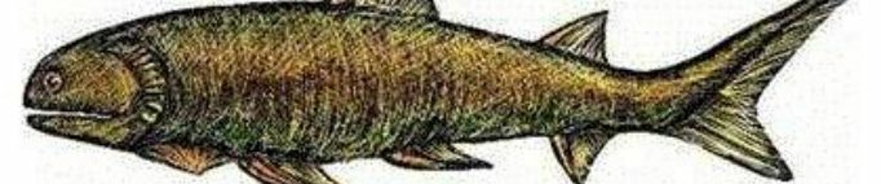 purikulo