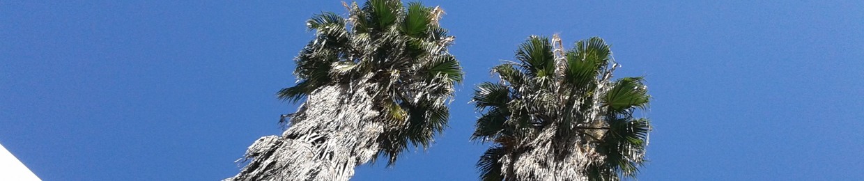 Kamohelo Molefi-Reddy