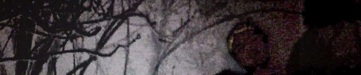 dirtydevv