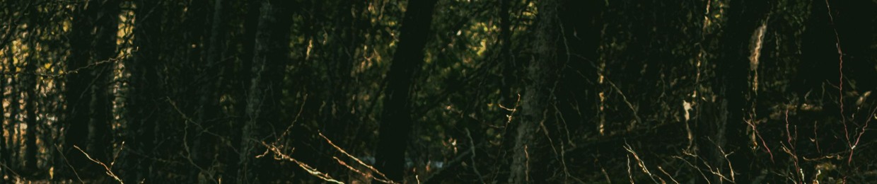 TREEMINDERS