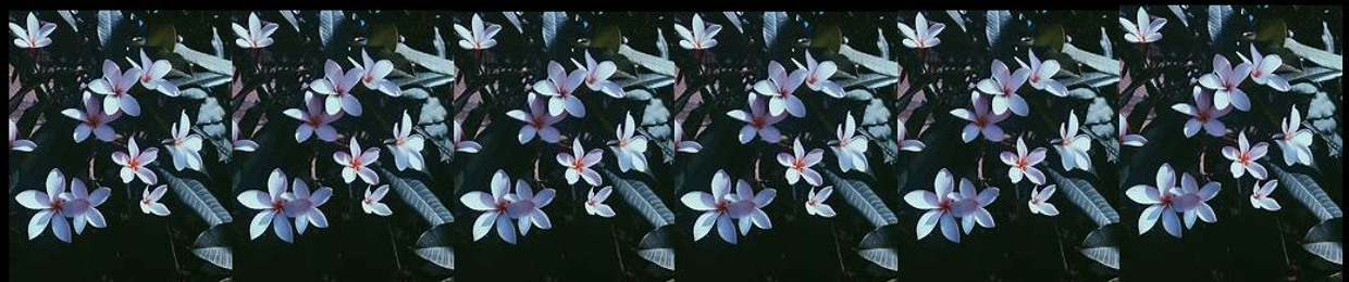 Mγ$ξlf