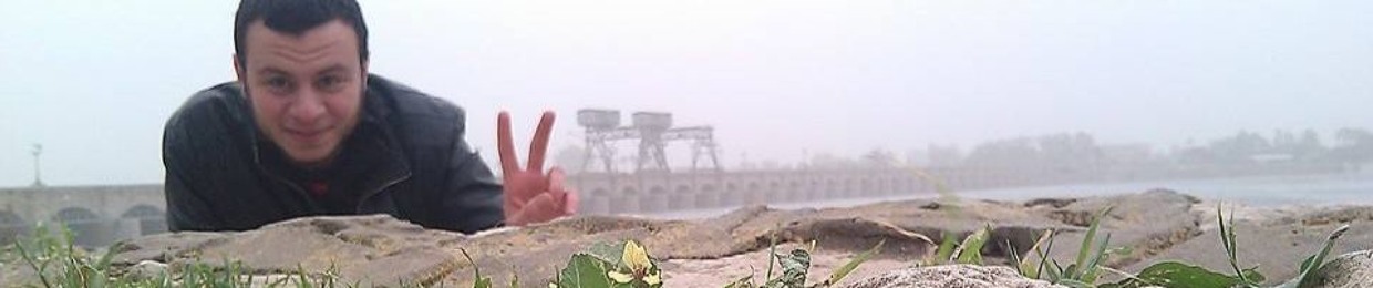 عمر بن محمد العربي