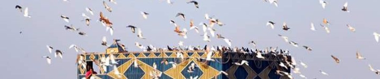 Ahmed Ashoor