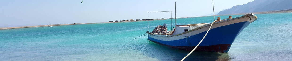 Bassem Salama 2