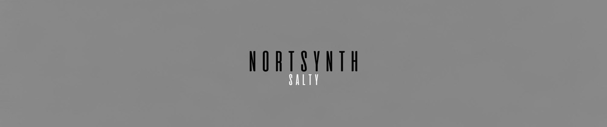 nortsynth