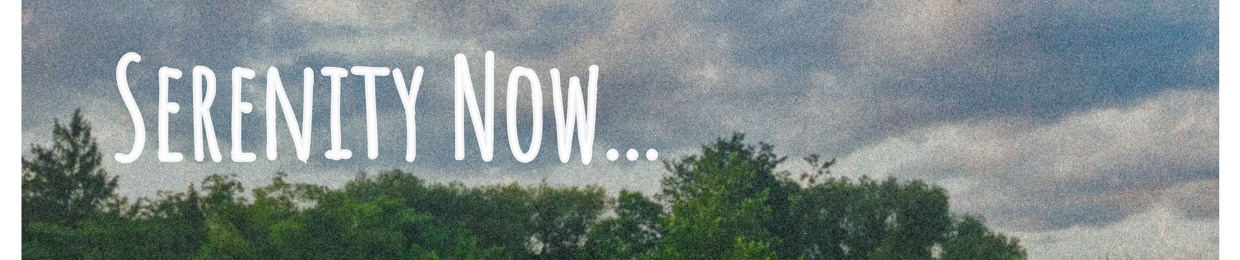 Andrew Mark Schaffer