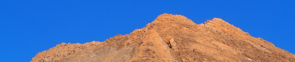 feines Tier