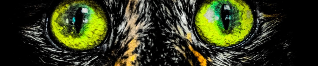 ManKitty