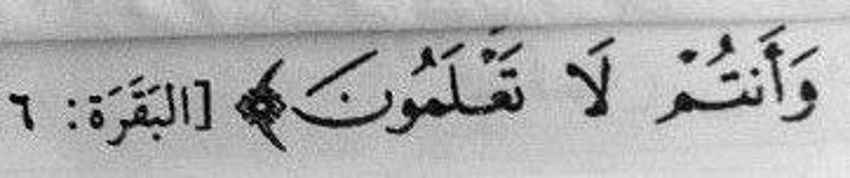 Shro2 Mo5tar