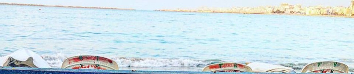 Ahmed Eltorky 4
