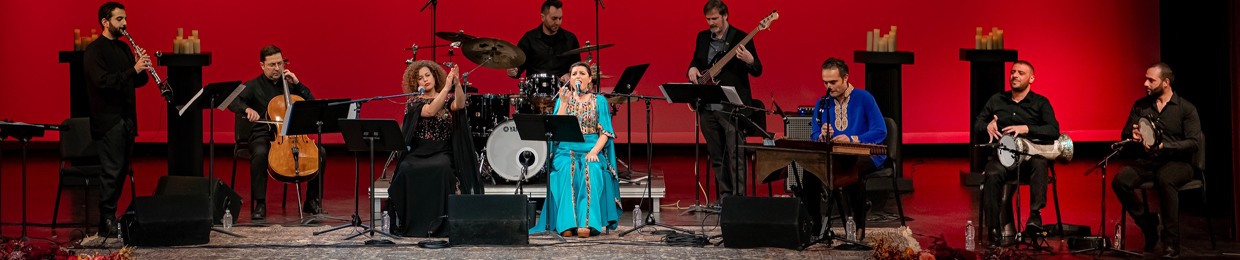 Ehsan Matoori