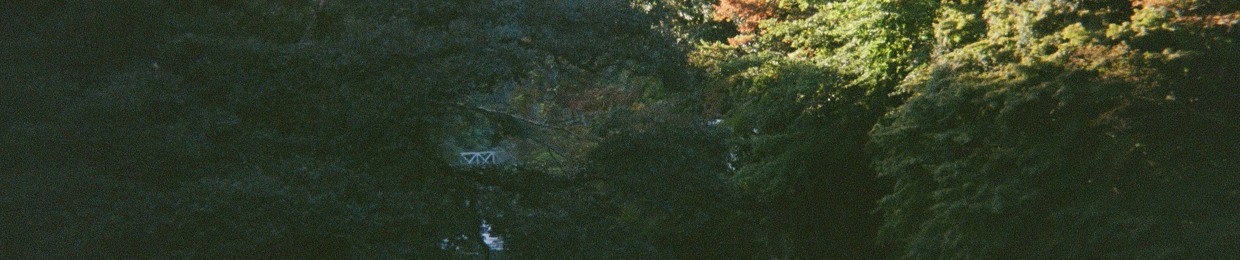 Timo