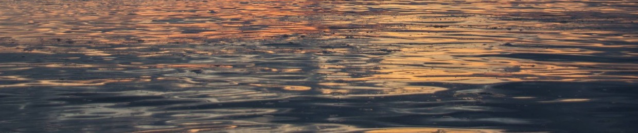 Sensing Waves