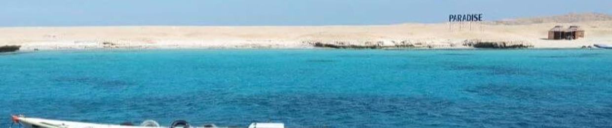 Amr Abdelhamid