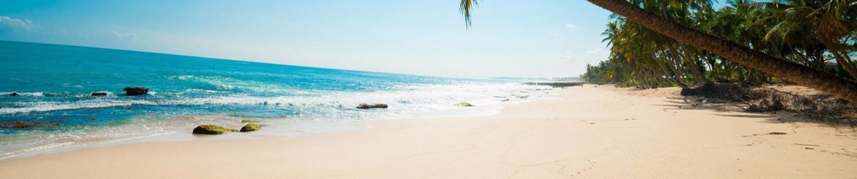 chơi nhạc với tùng