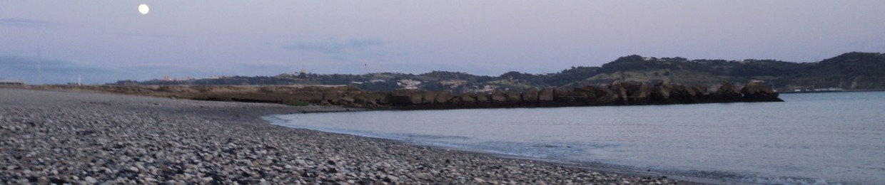 Dinis Santiago Soares