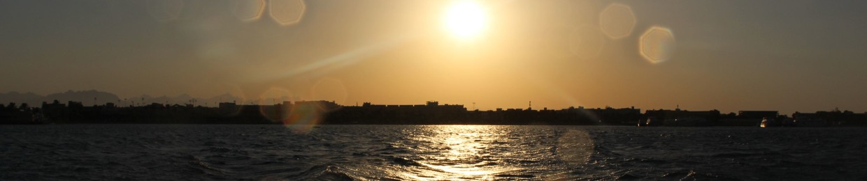 Amr tawfeeq