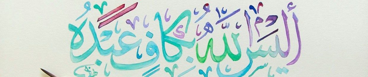 Doha Amr Rasheed