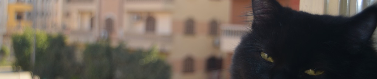 Amr Mesbah Abd-Elrhman