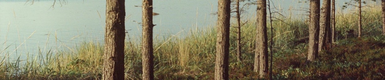 трафарет зарослей