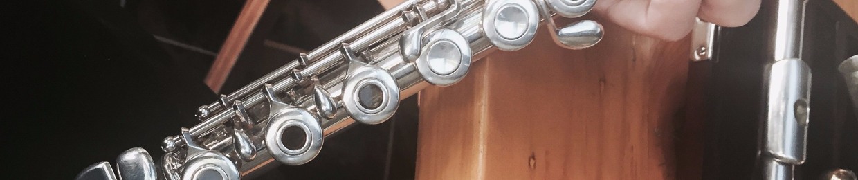 Amateur Flutist