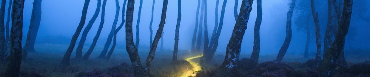 AlcahemysticCAiRn
