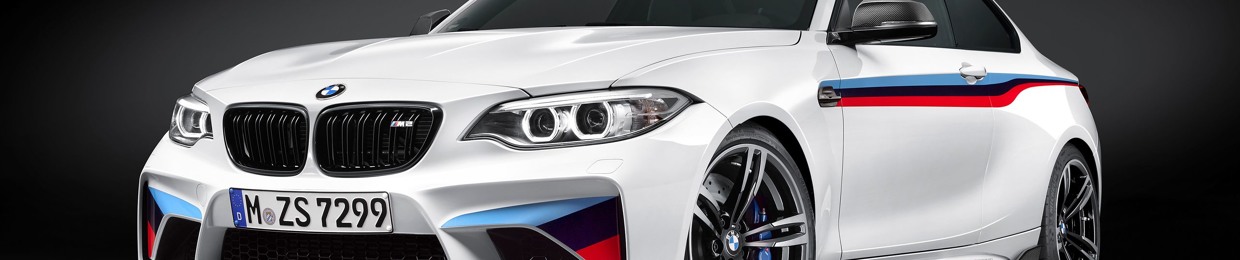 Fernando Flores Urbina