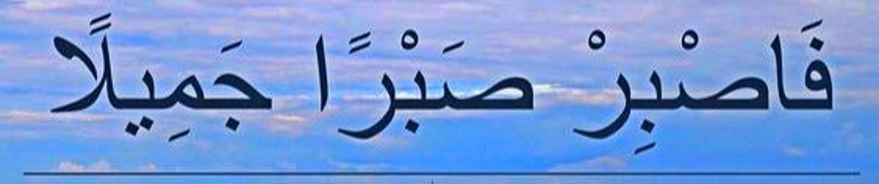 Mohannad Alaa 1