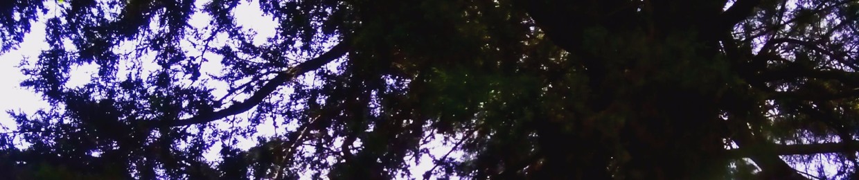 DRLB