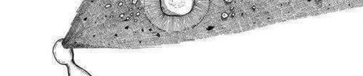 Jonathan Astudillo 2